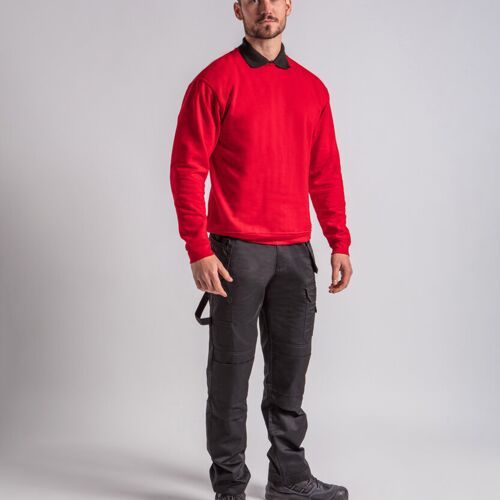 Pro sweatshirt Thumbnail