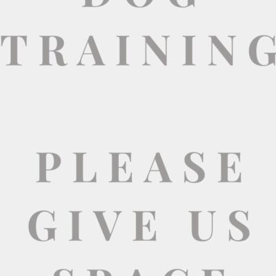 Rescue Dog In Training 3 Thumbnail