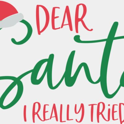 Dear Santa I Really Tried Thumbnail